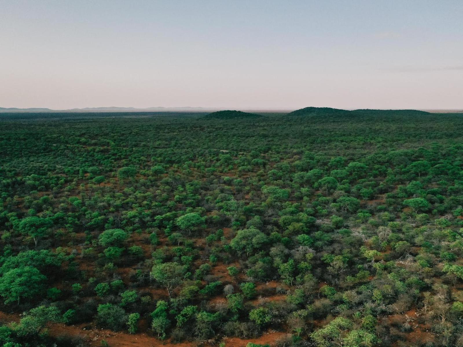 فندق Kifaru Bush Camp أوتجو المظهر الخارجي الصورة