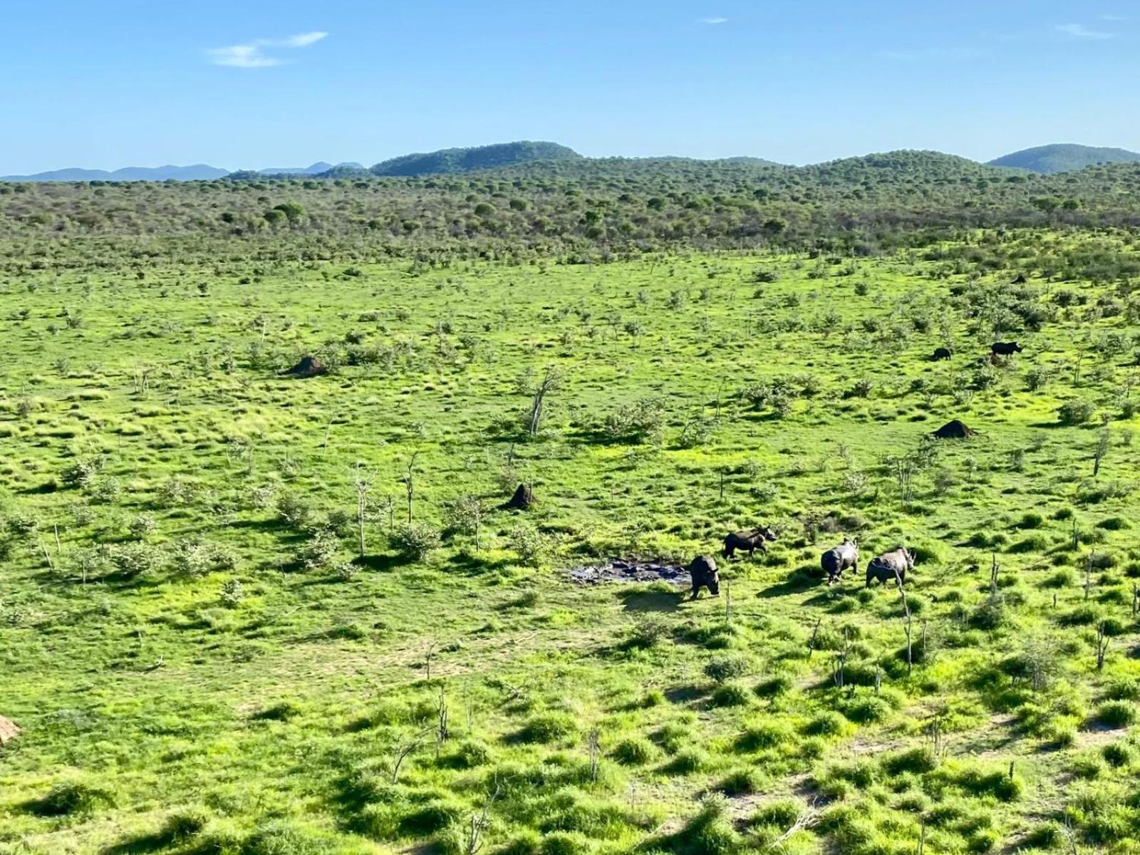 فندق Kifaru Bush Camp أوتجو المظهر الخارجي الصورة